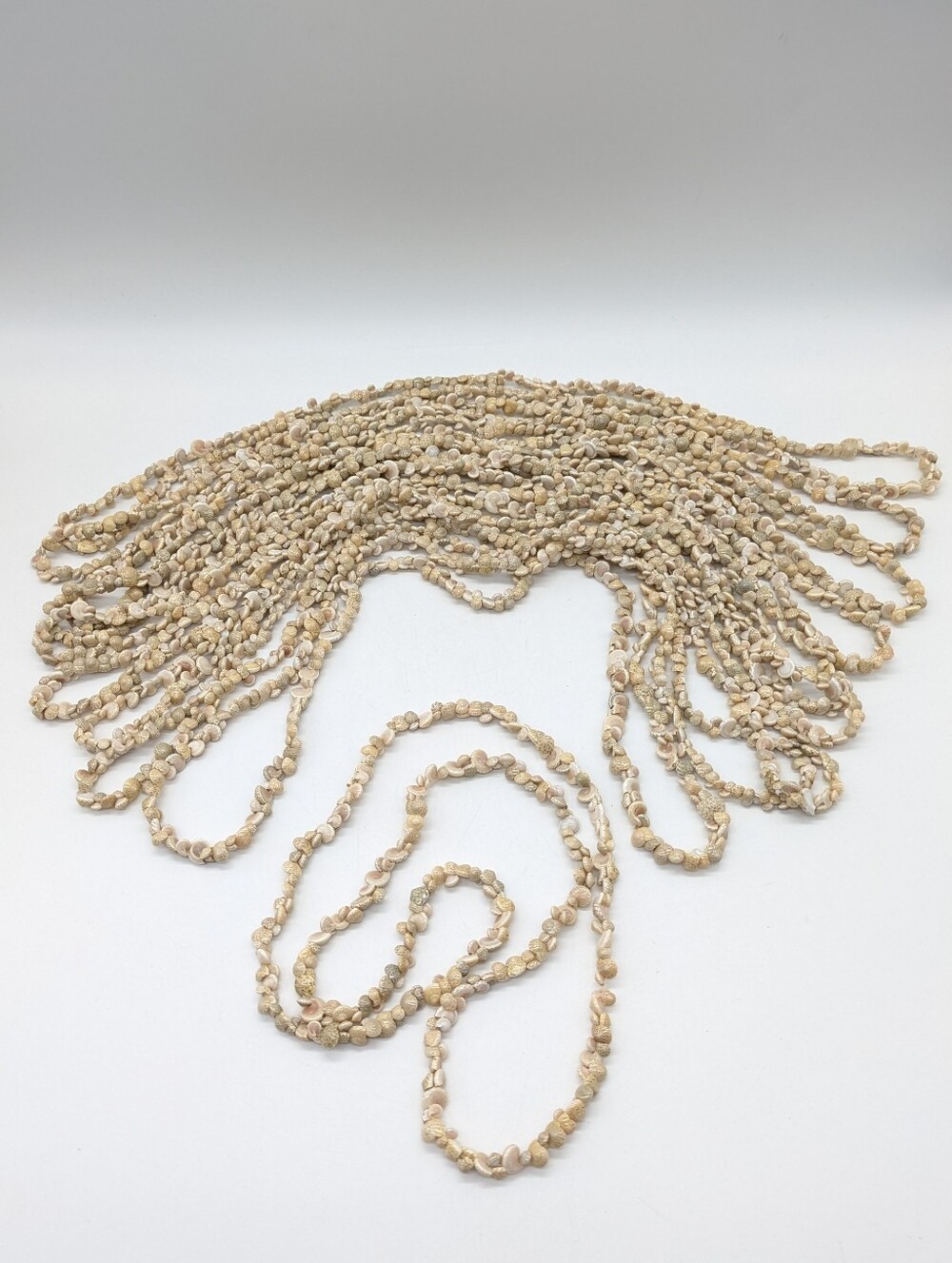 Cream Hawaiian Tropical Shell Necklace Bundle Of 10